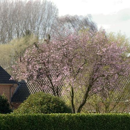 Bed and Breakfast De Rankhove Herne Exterior foto